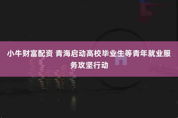 小牛财富配资 青海启动高校毕业生等青年就业服务攻坚行动