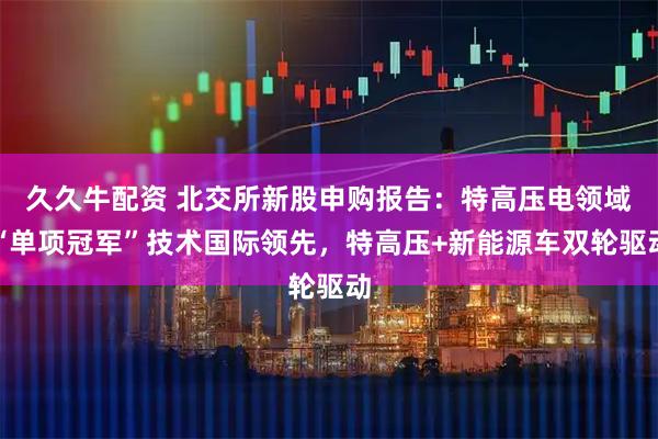 久久牛配资 北交所新股申购报告：特高压电领域“单项冠军”技术国际领先，特高压+新能源车双轮驱动