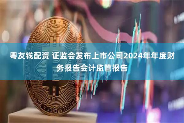 粤友钱配资 证监会发布上市公司2024年年度财务报告会计监管报告