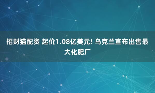 招财猫配资 起价1.08亿美元! 乌克兰宣布出售最大化肥厂
