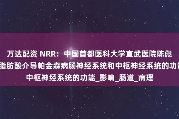 万达配资 NRR:中国首都医科大学宣武医院陈彪教授团队总结短链脂肪酸介导帕金森病肠神经系统和中枢神经系统的功能_影响_肠道_病理
